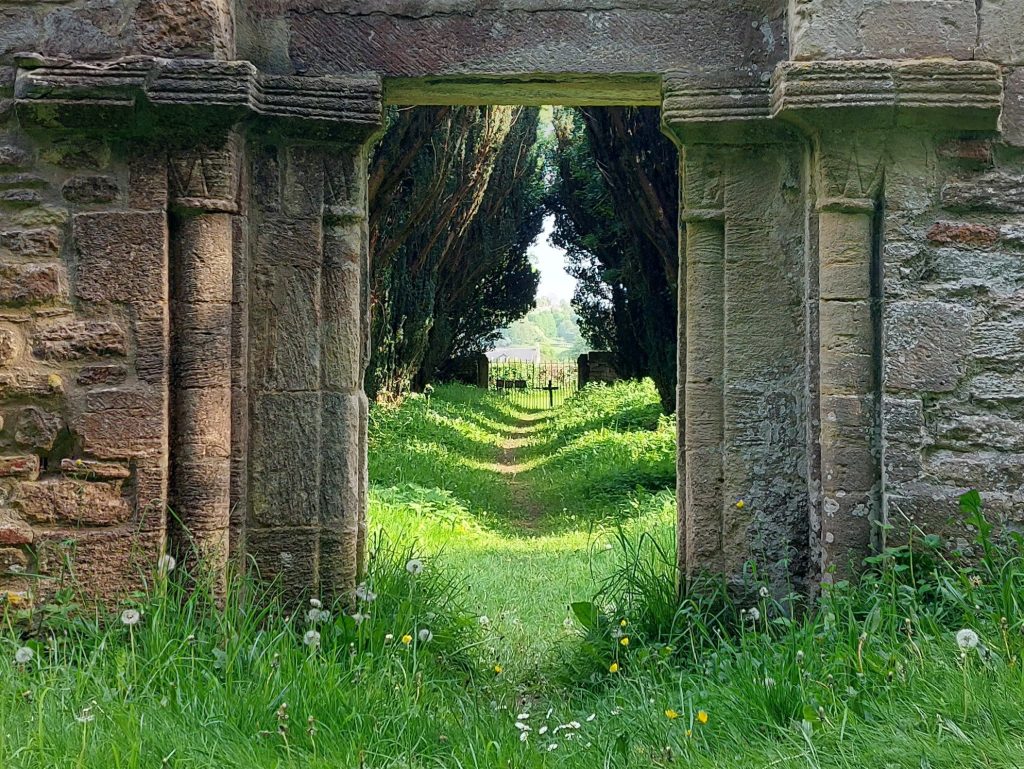 An ancient stone doorway frames a sunlit path through an avenue of Yew trees