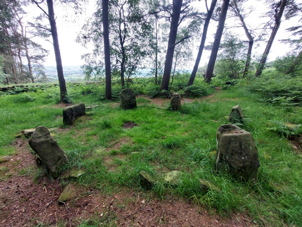 A circle of small stones, weathered and lichen-covered, sit in a grassy woodland clearing