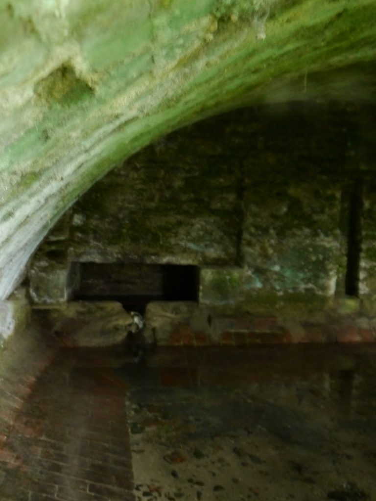 Shot between the bars of an iron grille, the subterranean arched vault of St Edith's Well can be seen. The spring itself emerges into a basin cut into the back left wall of the vault and the water spills into a square pool in the floor