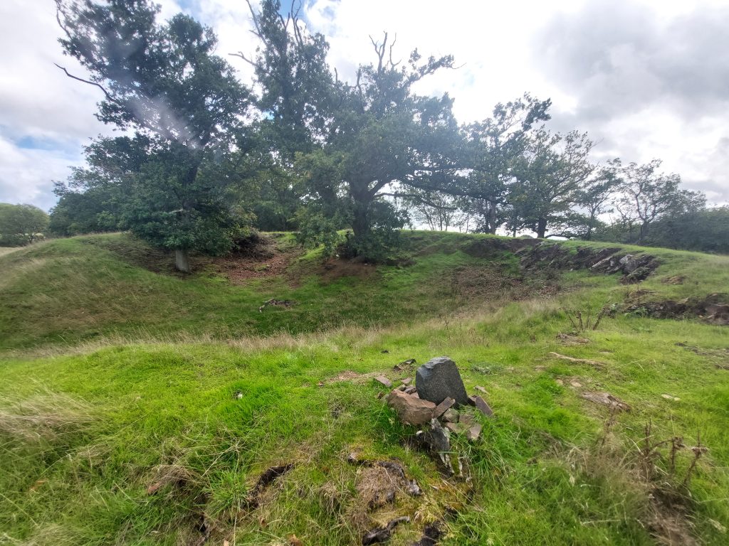 Two young oak trees stand on the far side of a grass-covered bowl of land. In the foreground, someone has placed a rock to mark the place where the blackened roots of a fire-destroyed ancient oak tree stood.