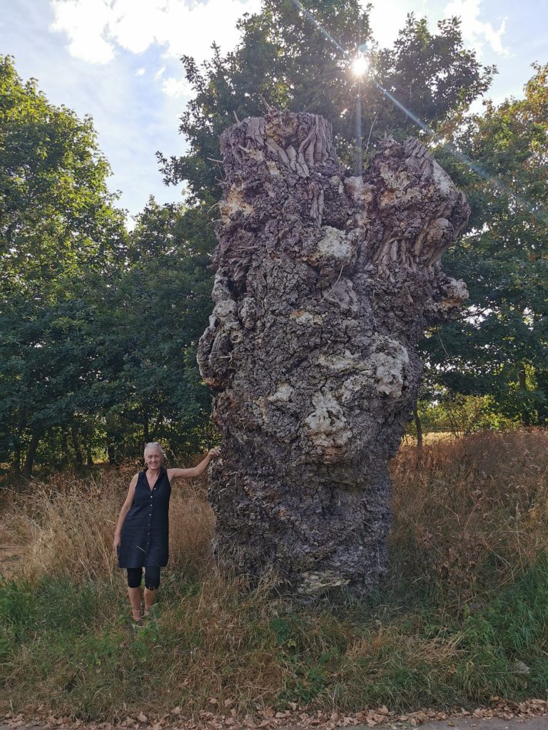 A woman stands beside a towering ancient tree stump, surrounded by grasses and other trees